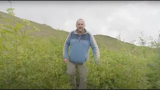 Alertacall - Celebrating 20 years by planting 20,000 trees in the beautiful Lake District.