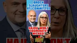 BROCK SHAMES SLACKER HAJDU! wild one!
