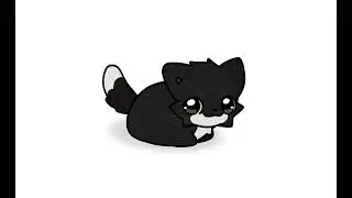 Maxwell Cat