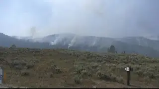 &ldquo;A natural place in the ecosystem&rdquo; &ndash; ecological benefits of wildfire