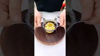 Useful Staineless Steel Fruits Cutter