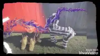 Zebra pi&ntilde;ata DIY