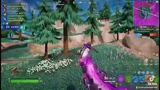 Fortnite fox clan