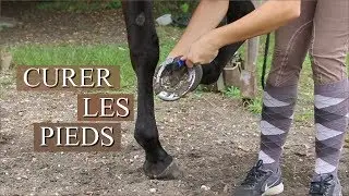 COMMENT CURER LES PIEDS - Éducation