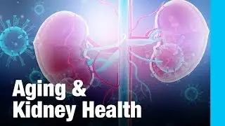 Aging and Kidney Health