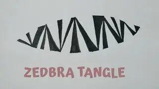 How To Draw Zedbra Tangle - Easy Tutorial