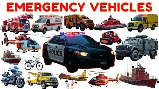 Машины скорой помощи для детей 🚨 | Изучите скорую помощь, пожарную машину, полицейскую машину, ве...