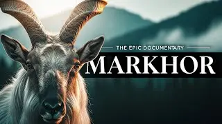 The Untold Life of Markhor &ndash; Hidden Facts You&rsquo;ve Never Heard Before