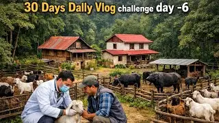 सबै योजना फेल भयो 😔 | आज यस्तो भयो कि… | Day 6 || #1_30dallyvlogchallenge #dallyvlog #viral #fypyt 