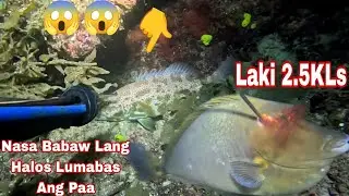 Episode 553 Nasa Babaw lang Halos Lumabas Ang Paa Jackpot night spearfishing