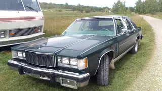 5 Speed Manual 1981 Grand Marquis