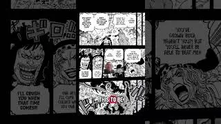 One piece 1165 ch review 