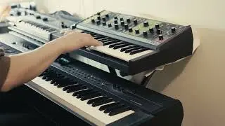 Moog Grandmother- beautiful lead sound