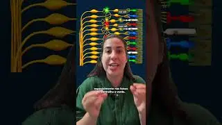 &Oacute;CULOS PARA DALT&Ocirc;NICO FUNCIONA? &bull; F&iacute;sica e Afins