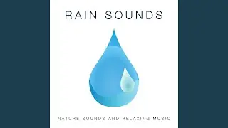 Calming Baby Sleep Music Club