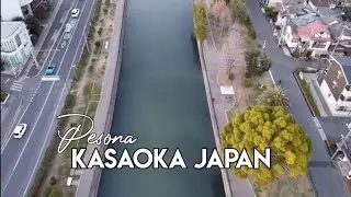 PESONA KASAOKA JAPAN