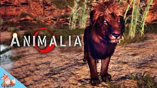 Growing the most beautiful black Lion in Animalia