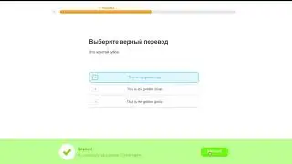 #95 Duolingo Английский | Цвета 3