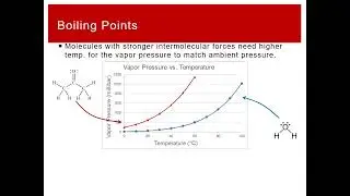 CHEM 1412 Lecture 1/19-1/20 Part 1: Vapor Pressure & Boiling Point