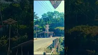 7th number 💚 #song #love #idukki #music #malayalam #nature #kerala #flowers #travel #automobile