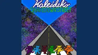 Shakedown Street (Live)