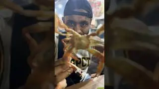 True crabs 🦀  #crabs #seefood  #streetfood