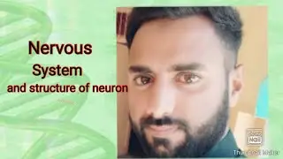 Nervous system and structure of neuron....class 10th#biology
