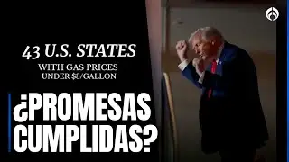 Trump presume golpe a los precios de la gasolina con &lsquo;Gasolina&rsquo; de Daddy Yankee