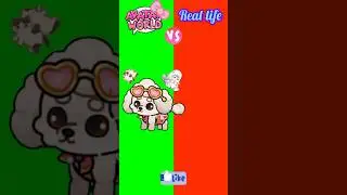 Avatar World VS Real Pets 🐶🐱 | Dog or Cat? #avatarfranchise #avatarworld
