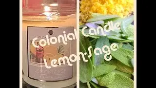 My First Colonial Candle! *Colonial's Lemon-Sage Candle Review* 🍋🌿