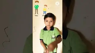 Learn Opposite Words | Happy Sad, Tall Short, Yes No, Open Close | Kids Learning Video