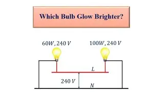 Bulbs in Parallel 