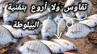 💥 الصيد بالبيلوطة ديما كيعطي نتيجة عمرها تخليك بلاش و لله الحمد 