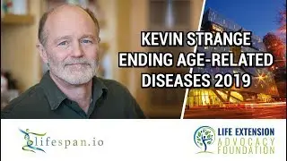 Kevin Strange | MSI-1436 Regeneration