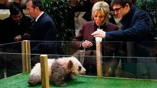 Brigitte Macron gets a fright as she baptises growling baby panda