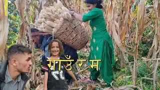 Village Vlog - Working the Land & Eating Fresh Organic Food - काम, पसिना र अर्गानिक स्वाद