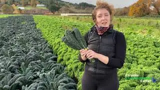 A Tour of Gathering Together Farm!