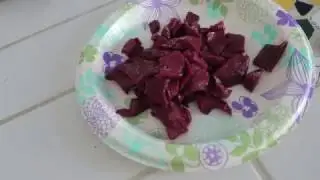 Easiest Way to Make Beef Heart Mix for Discus (and any other fish)