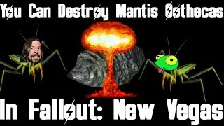 You Can Destroy Mantis Oothecas In Fallout: New Vegas