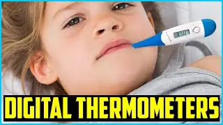 Top 5 Best Digital Thermometers in 2026 &ndash; Reviews