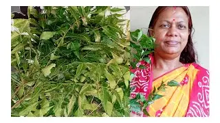 Neem pataer Uppokari ta || Joint family (Chowdhury poribar)