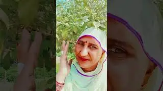 घाव देती है#subscribe #viralshorts #trending #(@ns bagdi bloger)