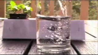 A Cool Science Experiment / Magic Trick - 
