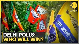 Delhi Election Results 2025: Vote Counting Underway, 699 Candidates In Fray | World News | WION