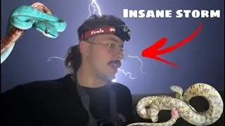 Hunting for snakes in a CRAZY lightning storm! (5 mile long wildfire) - duffdoesnaturestuff