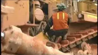Control para Consumo de Lubricantes VCD