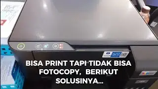 cara mengatasi printer Epson L3210 tidak bisa foto copy scan dan lampu indikator berkedip bersamaan