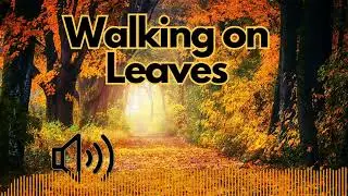 Walking on Leaves Sounds | No Copyright | Free