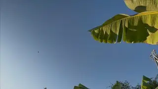 December 24th 2025 0647 UFO/UAP ascending sphere with associated go fasts. Slow motion footage