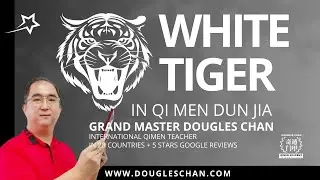 Baihu 白虎 (White Tiger) in Qimen Dunjia Bazi Destiny, What does it mean? #qimen